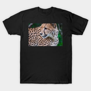 Wild life design T-Shirt